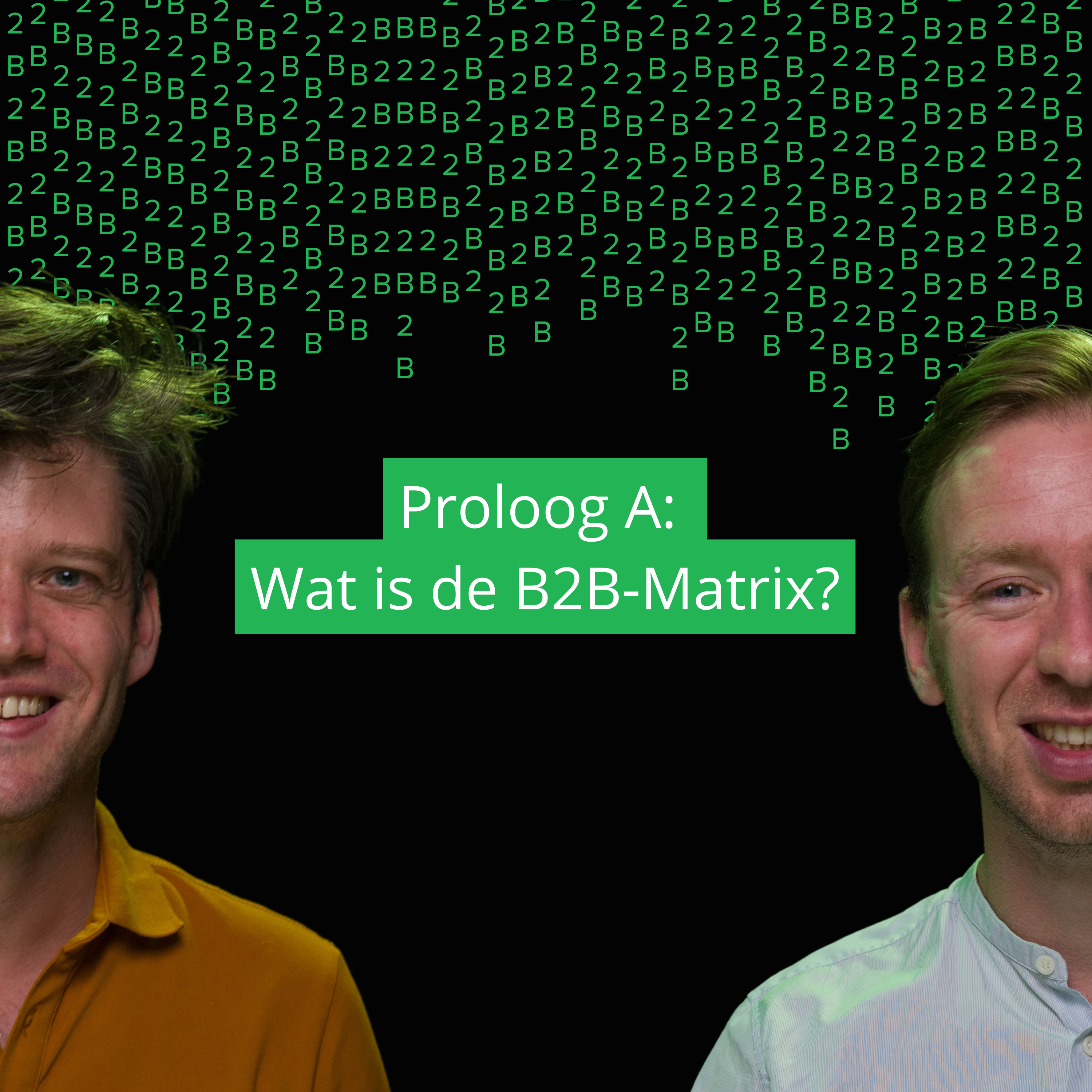 Proloog A: Wat is de B2B-Matrix?