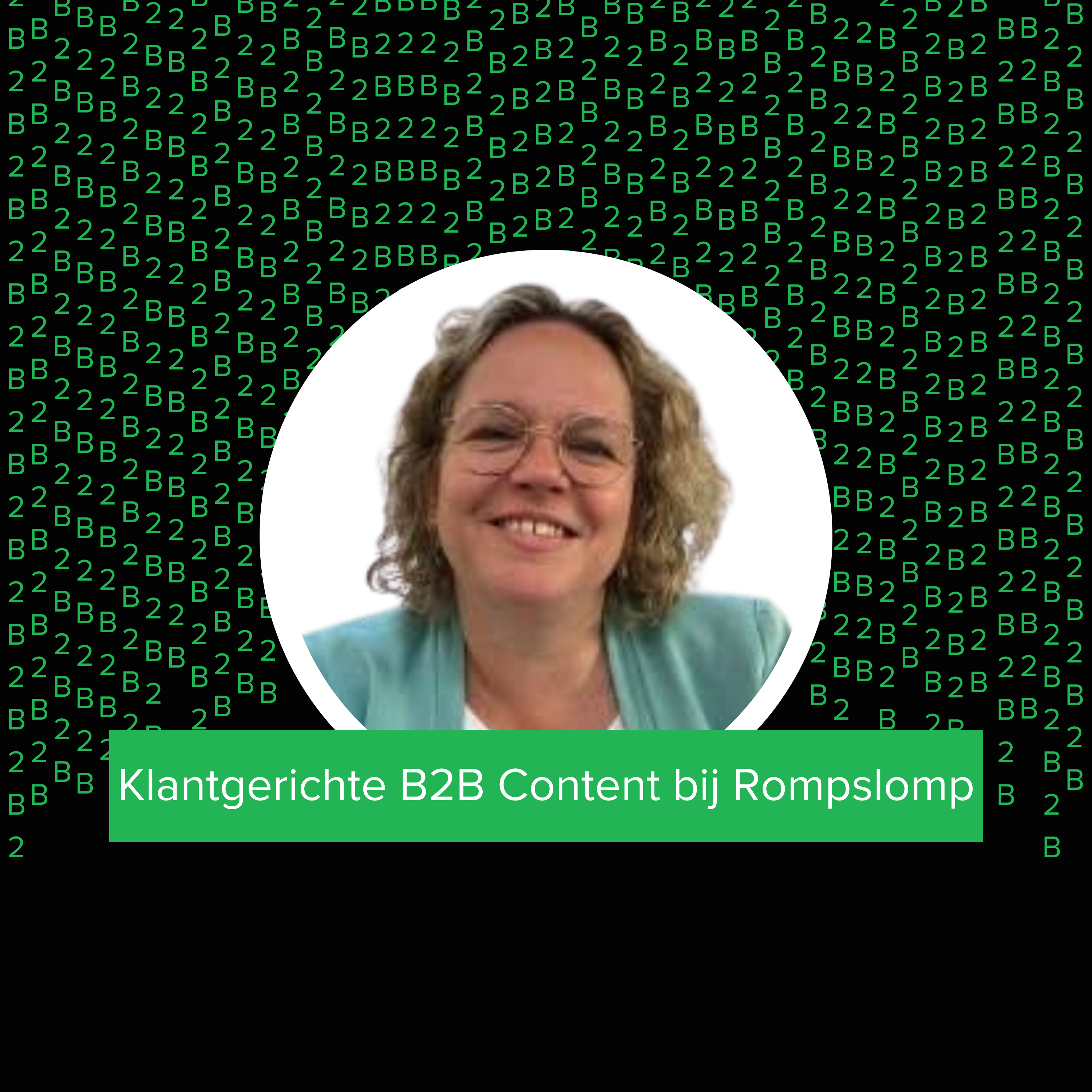 Klantgerichte B2B Content bij Rompslomp